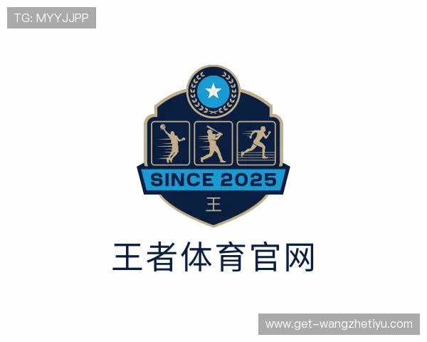 认识王者体育官网